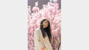 ‘하필 이 시국에’ 일본가수 케이팝 러시… “음악 자체를 봐달라”