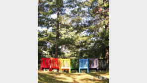 일곱 의자[고양이 눈]