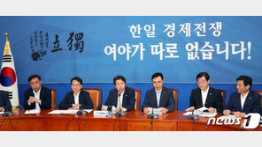 한일전 부각 與 “국민, ‘다시는 지지말자’며 고양되고 있어”