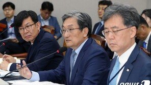 김상조 “농산물·금융 등 일본 추가보복 가능성 매우 낮아”