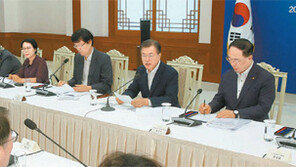 文대통령 “자유무역 혜택 본 日 이율배반… 외교적 노력은 계속”