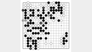 [바둑]보소프트컵 세계인공지능바둑대회… 인공지능의 버그