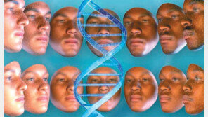 인간의 키-얼굴-성격 결정하는 ‘유전자 상호작용 지도’ 나왔다