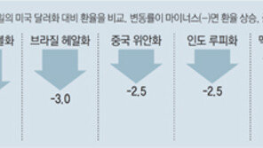 원화가치 한달새 5%하락… “달러당 1250원까지 갈 수도”