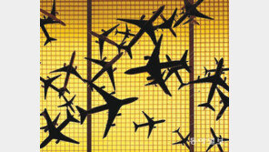 비∼행기 타고 가∼요[고양이 눈]