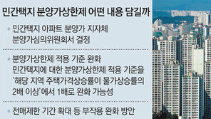 “재건축發 집값상승 막겠다”… 정부, 11개월만에 추가 카드