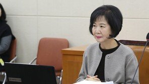 법원 ‘투기 의혹’ 손혜원 의원 부동산 몰수보전 청구 기각