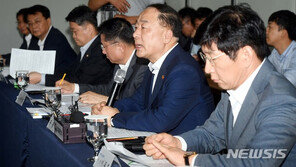 홍남기 “민간택지 분양가상한제, 실제 시행여부는 추후 별도판단”