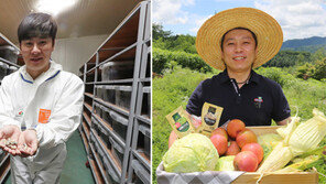 습도-온도 치밀한 ‘데이터 사육’… 특허 메주 만든 애그테크