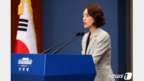 김현종 ‘日에 D램 공급정지’ 언급에 靑 “검토 안해”