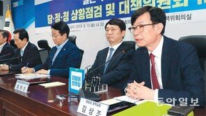 “내년에도 확장재정… 日에 적극 대응”