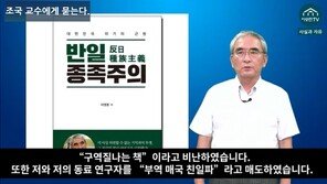 ‘반일종족주의’ 이영훈 “위안부 성노예 학설 문제 많아”