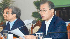 文대통령 “남북관계 유리그릇 다루듯 조심… 천금의 기회 살려야 ”