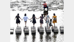 지나갈게요[고양이 눈]