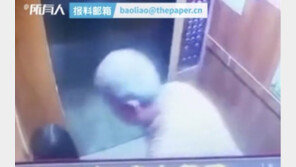 승강기서 여아 성추행한 노인, 고혈압 이유로 석방…중국이 발칵