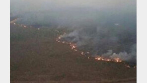 불타는 ‘지구의 허파’… “아마존 위해 기도를”