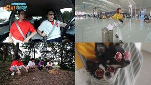 ‘개밥 주는 남자 개묘한 여행’ 박시후, 80년 역사 고향집 공개
