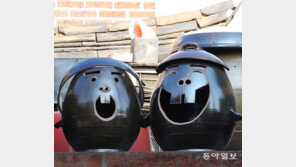 장독대의 웃음[고양이 눈]