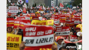 김진태, 광화문 광장서 “우리도 태극기 말고 남녀노소 촛불들자”