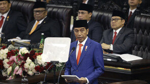 인도네시아 대통령, “동칼리만탄에 새 수도 건설” 발표