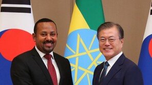 한·에티오피아 정상회담…한반도 평화 지지 재확인