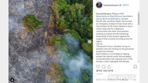 디캐프리오, 아마존 화재 대응 기금 설립…60억원 기부