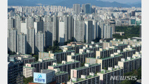 서울 겨냥한 부동산규제 쏟아지는데…집값은 지방만 하락