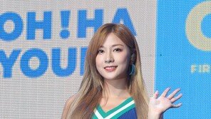 에이핑크 하영, 악플러들에 호소 “악플 멈춰달라”