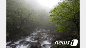 한라산에 183㎜ 폭우…제주도 전역 호우경보는 해제