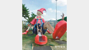 피노키오 미끄럼틀[고양이 눈]