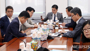 국회 정개특위 안건조정위, 선거법 개정안 의결…한국당 “날치기”