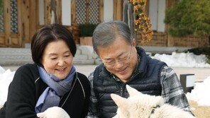 ‘김정은 선물’ 청와대 풍산개 자견 ‘해님·들’ 인천 온다