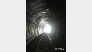 끝과 시작[고양이 눈]