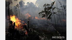 아마존 화재에 원주민들 “투기꾼 벌목꾼들과의 전쟁” 선포