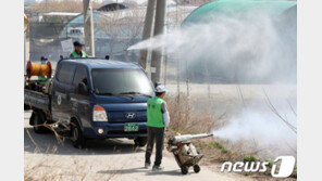 올해 첫 일본뇌염 발생…대구 80대 노인 사망