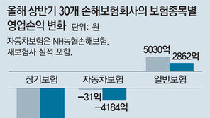 출혈 경쟁에… 손보사 순익 30% 급감