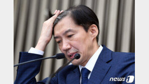 조국, 동생 위장이혼 의혹에 “이혼하면 원수지고 살아야 하나”