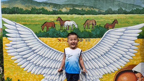 무게[고양이 눈]