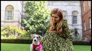 英존슨 총리, 유기견 입양…“총리관저 고양이 래리, 어쩌나”