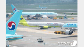 지방공항 여전히 적자 허덕…무안공항 등 5곳 100억대 적자