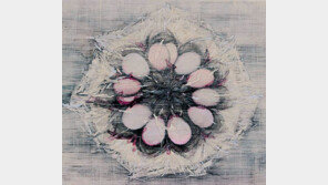 씨앗을 통해 새로운 생명의 생성과 소멸을 보다