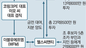 “5촌조카, 조국 가족 사모펀드 이용… 자금난 기업 사냥 뒤 탈탈 털어갔다”