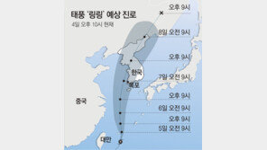 태풍 ‘링링’ 초속 45m 강풍… 사람도 날아갈 위력