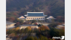 靑 “수사 개입한 적 없어…동양대 표창장, 청문회 준비팀서 들어”