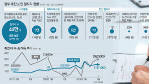 ‘한달 30만원’ 노인 일자리, 고용대책인가 무상복지인가[인사이드&인사이트]