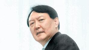 여권 “검찰이 하극상”… 檢내부 “수사 성역 없다더니…”