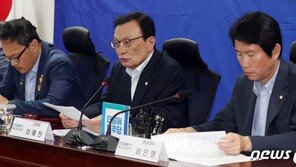 이해찬 “조국 청문회 통해 부풀려진 의혹·가짜뉴스 해명되길”