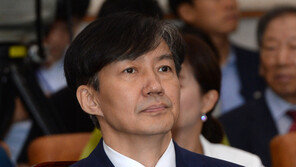 조국 “세계에서 檢권력 제일 과도”…표창원 “檢이 국회 권한 침탈”