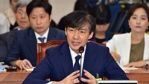 조국 “딸 논문, 집에 있는 서울대 지급 PC로 작성”…본인 관련 부인