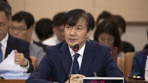 “딸 KIST 3주 인턴 허위?” 묻자 조국 “케냐봉사 8일 빼고 2주 근무”